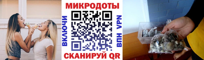 Псилоцибиновые грибы MAGIC MUSHROOMS  Купить закладки  Сухой Лог 